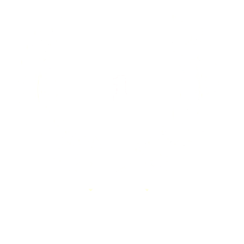 top1 Security Logo